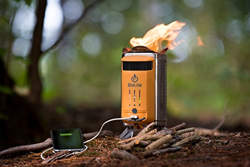What's the Disadvantage of BioLite CampStove 2?