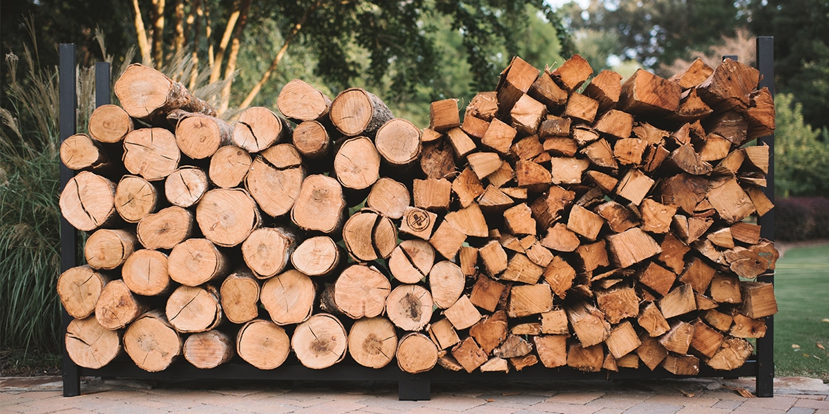 A Guide to the Best Trees for Firewood