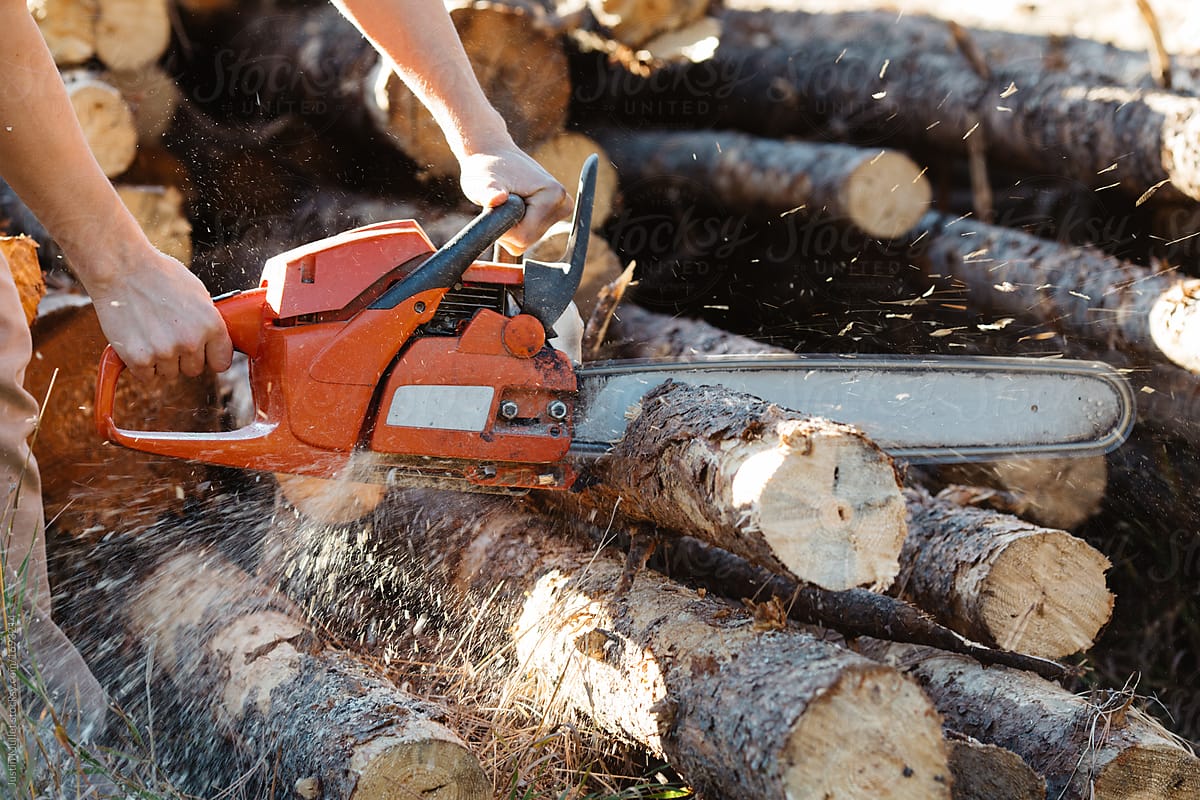 Have You a Firewood Cutting Chainsaw