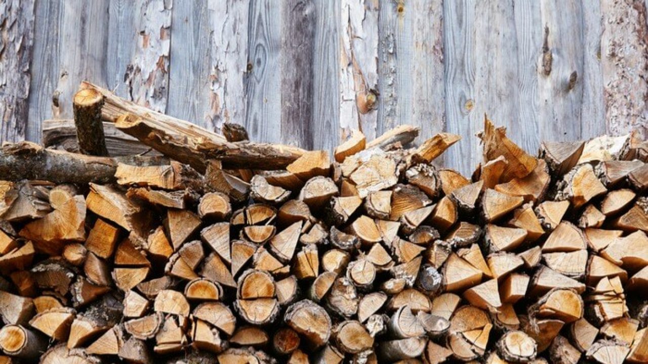 The Best Trees For Firewood - Firewood Seasoning