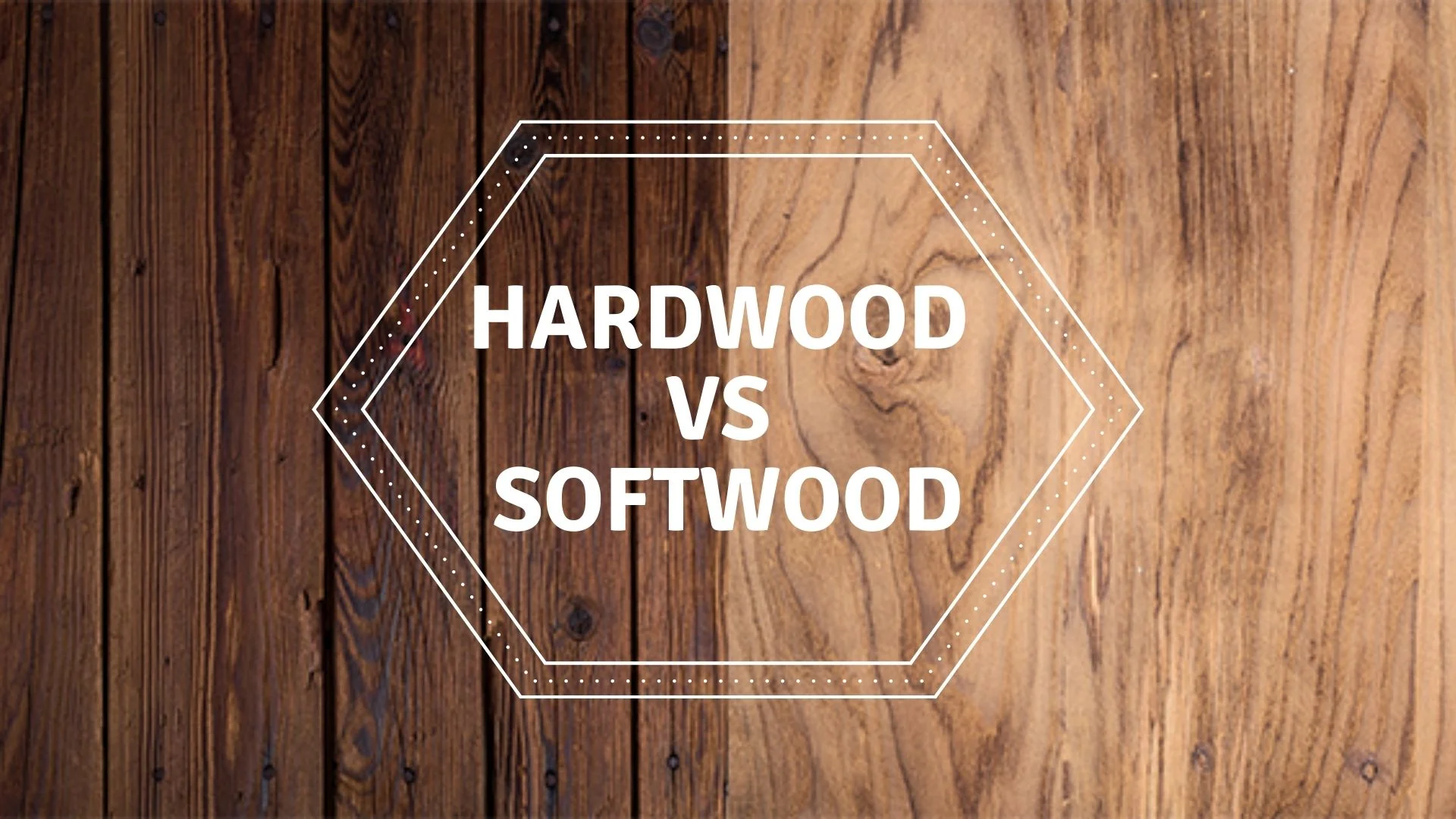 The Best Trees For Firewood Hardwood vs Softwood