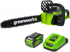 Best Battery Chainsaw - Green works 20312 40V Cordless Chainsaw