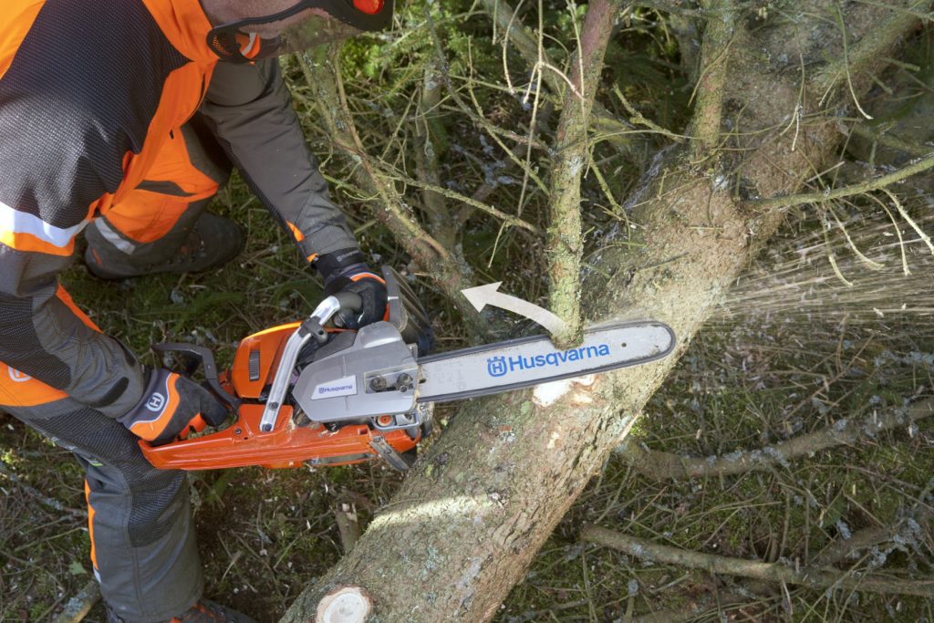 Limbing The Tree